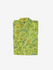 products/Copyoflemongreen3.png